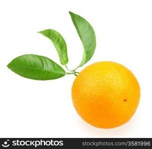 Orange and branch with green leaf on back. Placed on white background. Close-up. Studio photography.