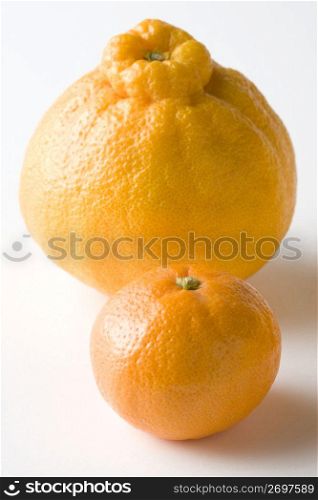 Orange and Dekopon orange