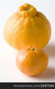 Orange and Dekopon orange