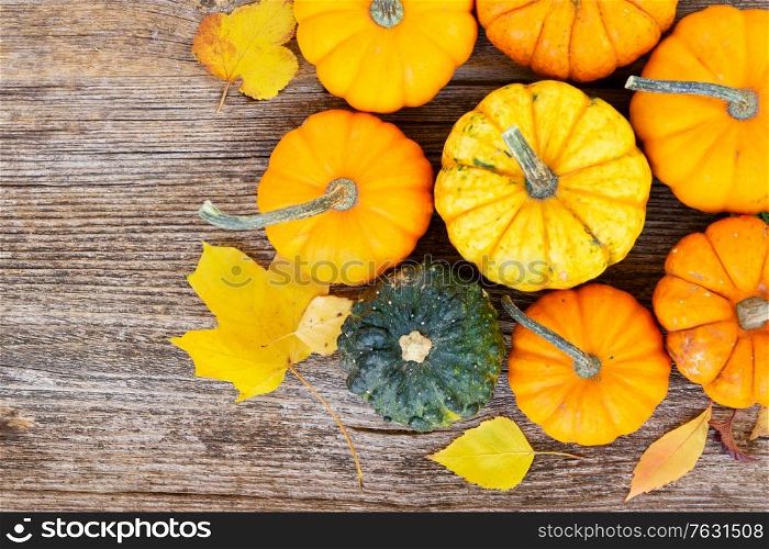 orange and green fall raw pumpkins on old wooden textured table, top view. pumpkin on table
