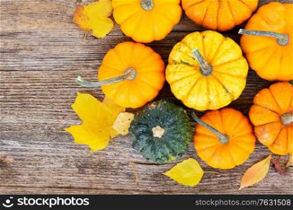 orange and green fall raw pumpkins on old wooden textured table, top view. pumpkin on table
