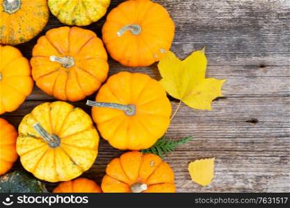 orange and green raw pumpkins on old wooden textured table, top view fla lay. pumpkin on table