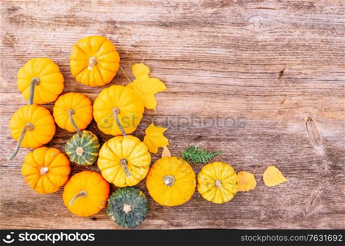 orange and green raw pumpkins pile on old wooden textured table, top view flat lay frame. pumpkin on table