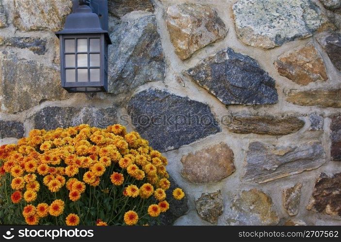 Orange autumn flowers beneath a garden light on a rough hewn stone wall