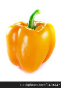 Orange bell pepper on white background. Orange bell pepper