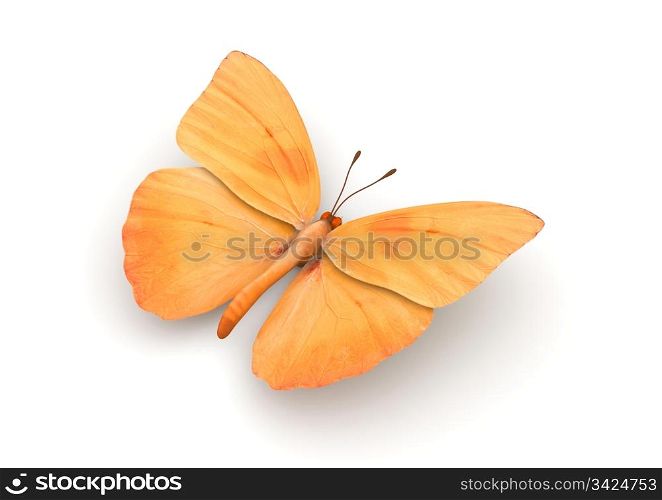 Orange Butterfly Isolated (3d isolated characters on white background series)