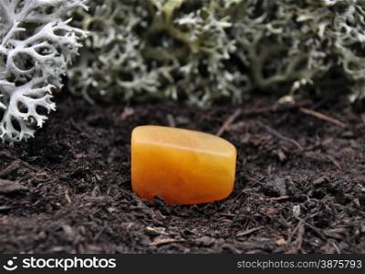 Orange calcite on forest floor