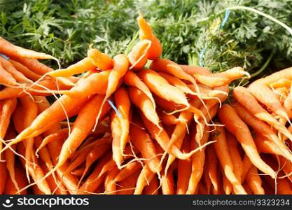 Orange carrots in a horizontal composition