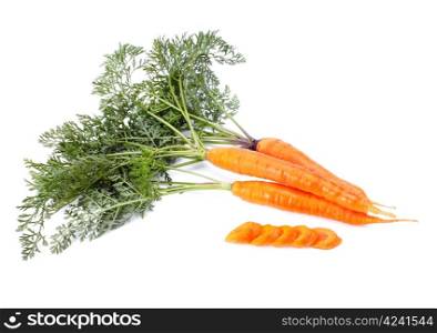 orange carrots with green leaves isolated over white