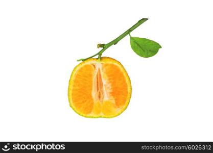 Orange clementine with a green leaf isolated on white background