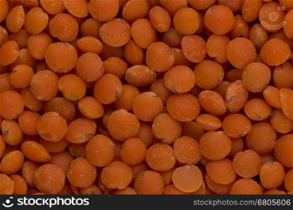orange close up legumes lentils for background