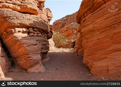 Orange desert canyon