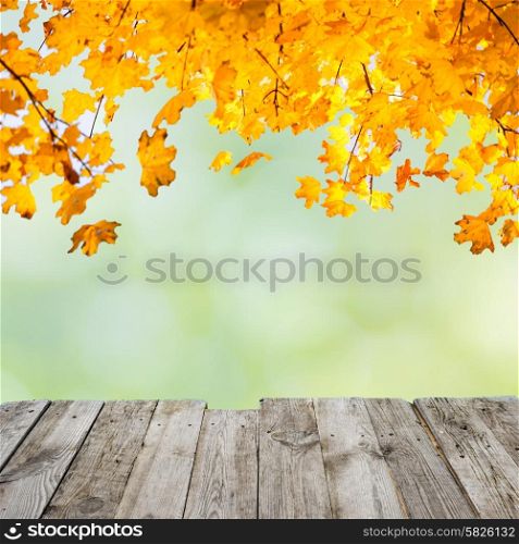 Orange fall leaves over wooden desk and abstract autumn background