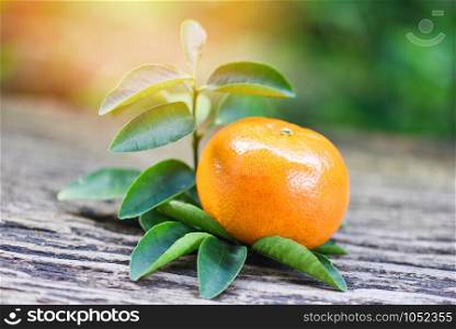 orange fruit and leaf on wooden with green garden background / Healthy fruits fresh orange