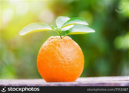 Orange fruit on nature green background on summer / Fresh orange with leaves in the garden orchard