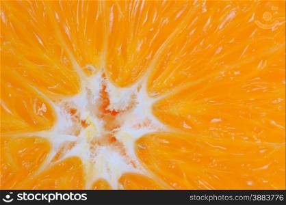 Orange fruit slice for nature background