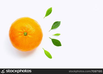 Orange fruit with citrus leaves isolated on white background. Juicy, sweet and high vitamin C. Copy space