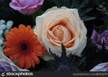 orange gerbera and rose as part of a flower arrangement after a rainshower