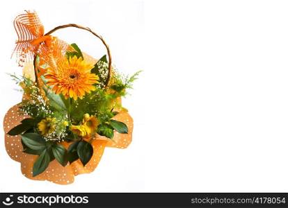 orange gerbera bouquet in basket over white