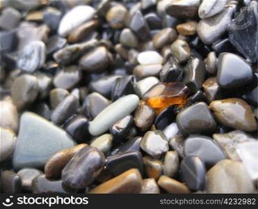 Orange glass laying on the sea shore