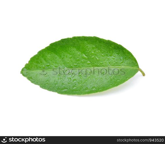 Orange green leaves