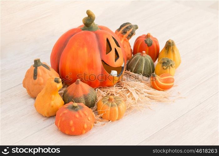 Orange Halloween pumpkin surrounded by many small pumpkins