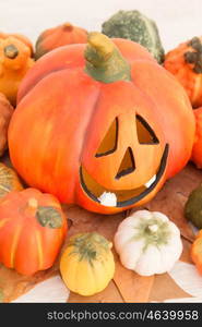 Orange Halloween pumpkin surrounded by many small pumpkins