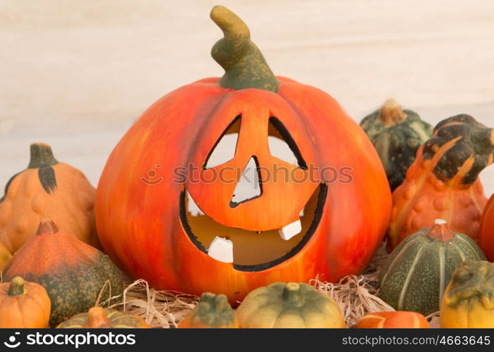 Orange Halloween pumpkin surrounded by many small pumpkins