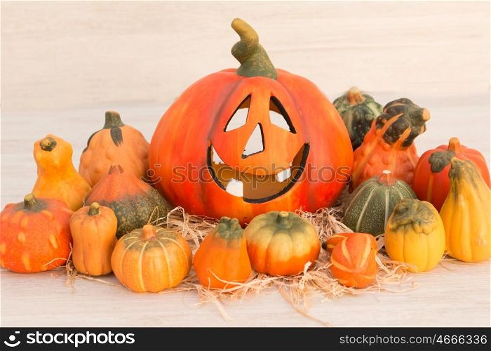 Orange Halloween pumpkin surrounded by many small pumpkins