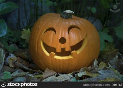 Orange kind smiling Halloween pumpkin in the garden in twilight