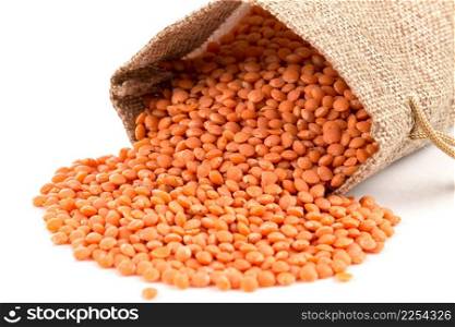 Orange organic lentils in isolated on white background