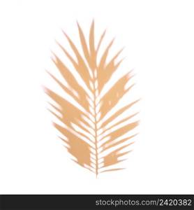 orange palm leaf white backdrop