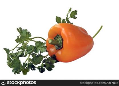 Orange pepper and parsley isolated over white background