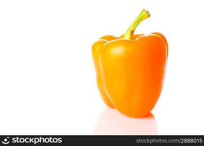 orange pepper over white