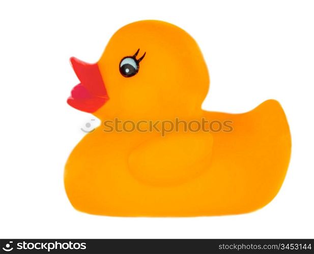 Orange plastic duck a over white background
