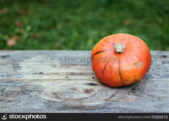 Orange pumpkin is lying on a rustic wooden table. Text space.