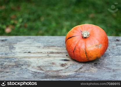 Orange pumpkin is lying on a rustic wooden table. Text space.