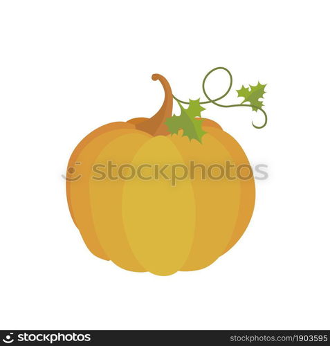 Orange pumpkin isolated on white background. Cartoon flat style. Vector illustration