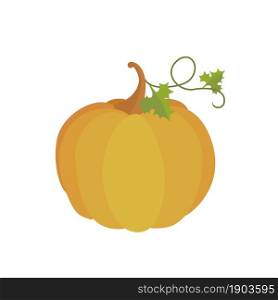 Orange pumpkin isolated on white background. Cartoon flat style. Vector illustration