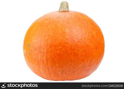 Orange pumpkin isolated on white background. Pumpkin is ecological and natural, grew in rural garden.