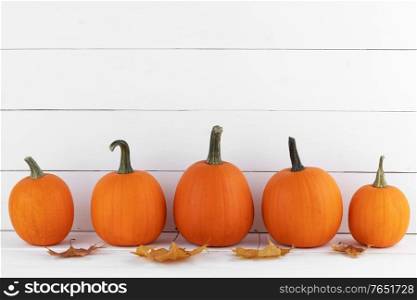 Orange pumpkins and autumn leaves in a row on white wooden background with copy space. Pumpkins and autumn leaves