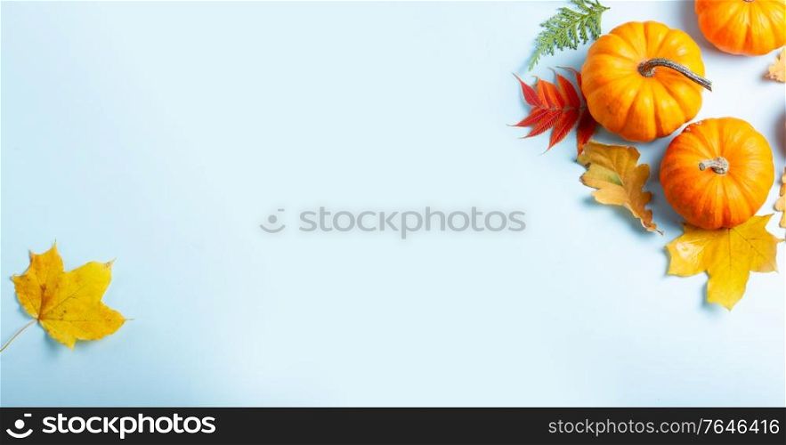 Orange pumpkins and leaves frame on blue background with copy space, web banner fromat. pumpkin on table
