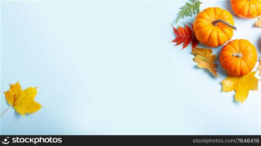 Orange pumpkins and leaves frame on blue background with copy space, web banner fromat. pumpkin on table
