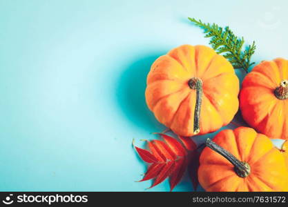 orange pumpkins and leaves on blue background with copy space, retro toned. pumpkin on table