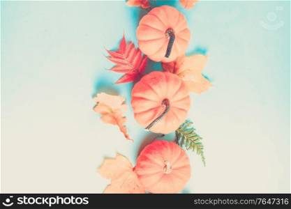 Orange pumpkins and leaves on blue background with copy space, retro toned. pumpkin on table