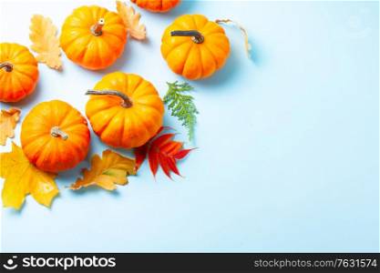 Orange pumpkins and leaves, top view on blue background with copy space. pumpkin on table
