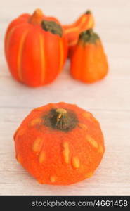 Orange pumpkins on a wooden grey background