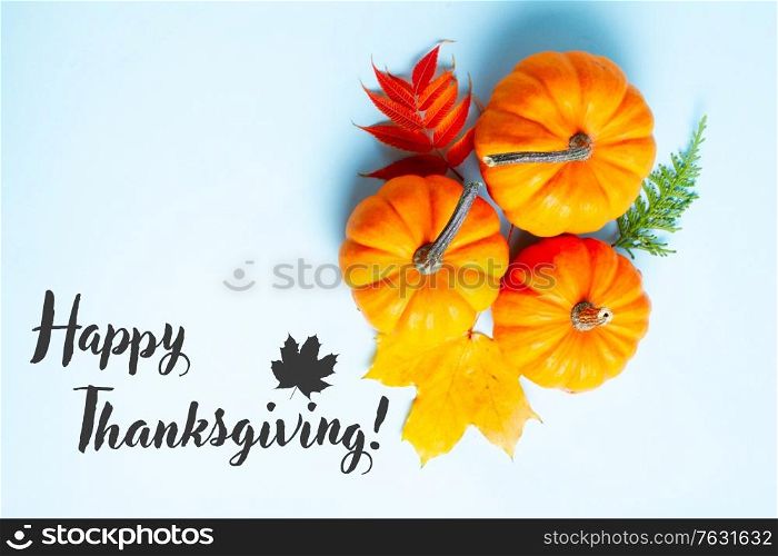 Orange raw pumpkins and leaves on blue background with happy thanksgiving greetings. pumpkin on table