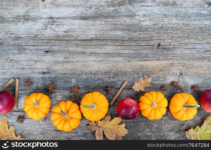 orange raw pumpkins and red apples ripe on old wooden textured table, top view border with copy space. pumpkin on table