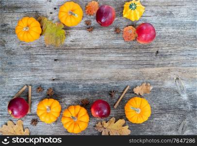 orange raw pumpkins and red apples ripe on old wooden textured table, top view frame with copy space. pumpkin on table